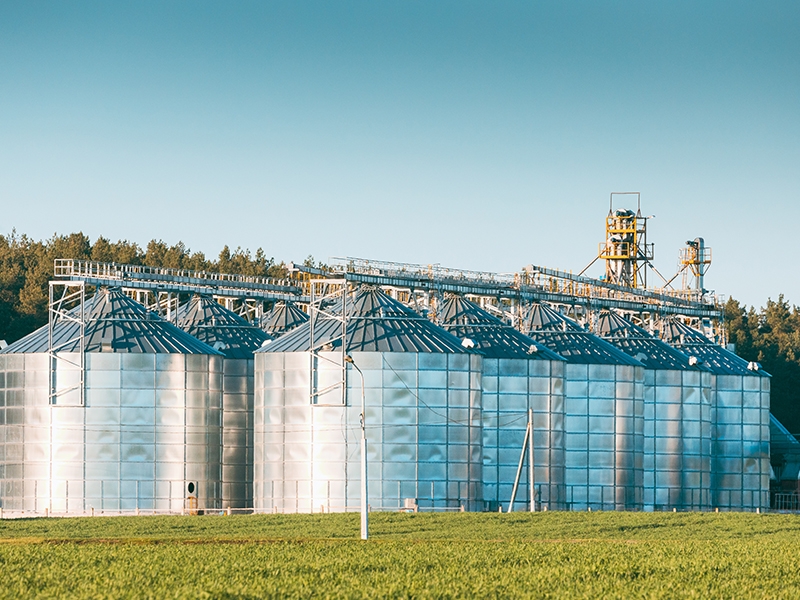 حلول حديثة لتخزين الحبوب مع بايوركا